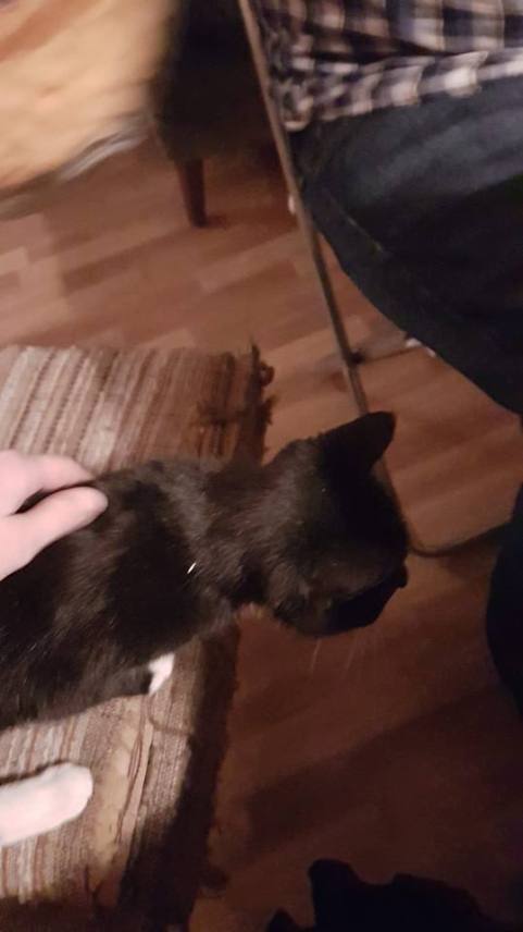 28055800_10160095635920596_451058954025811404_n