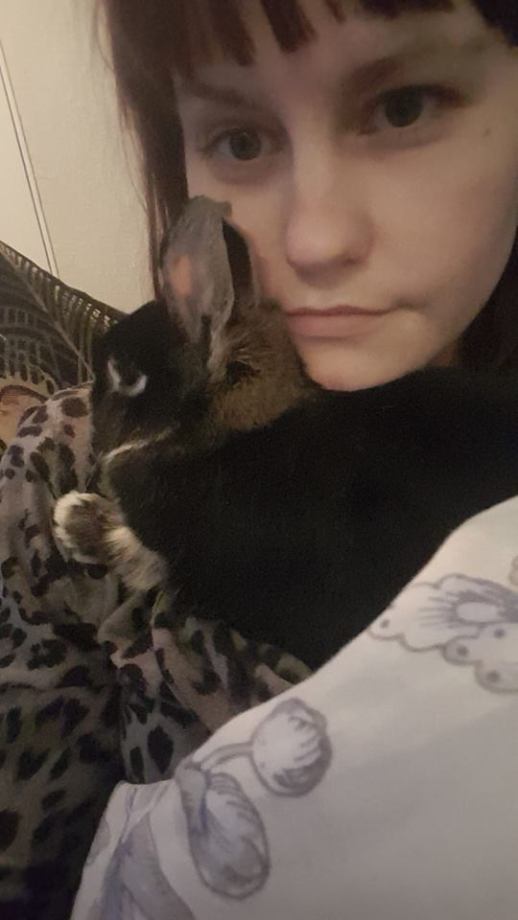 28279528_10160093126310596_1676640446704840427_n