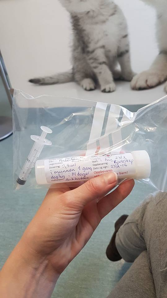 28467784_10160125848895596_635806443394210318_n