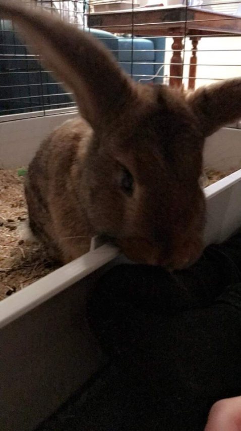 30727310_10160347483650596_7903795364392599552_n (1).jpg