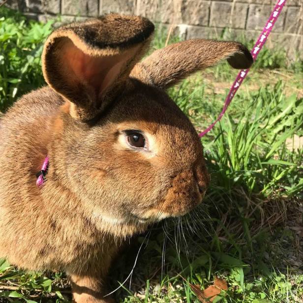 36649180_10160666169475596_4166345772947734528_n