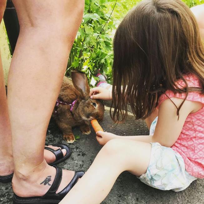 36688198_10160669067275596_902163704500453376_n