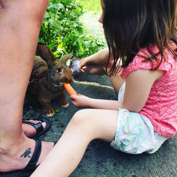 36725243_10160669103455596_6718989323955339264_n