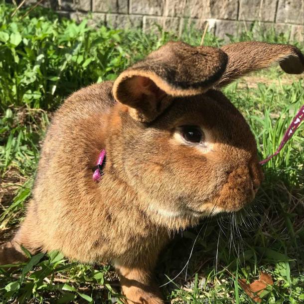 36755260_10160668874930596_2533918301050896384_n