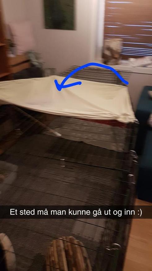 36825316_10160680222240596_1411399701701328896_n