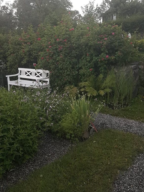 39522115_10160855544755596_3199008469466218496_n