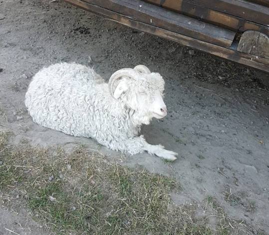 39846747_10160864203855596_8670602654868570112_n