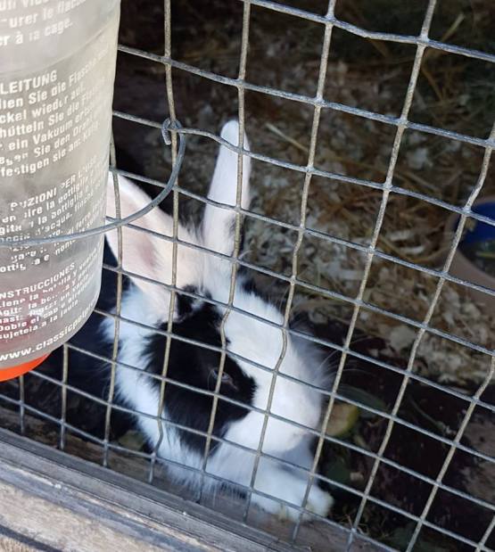 39910344_10160864302245596_8046616027850604544_n