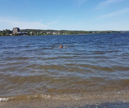 40129732_10160881882735596_3058269868714360832_n