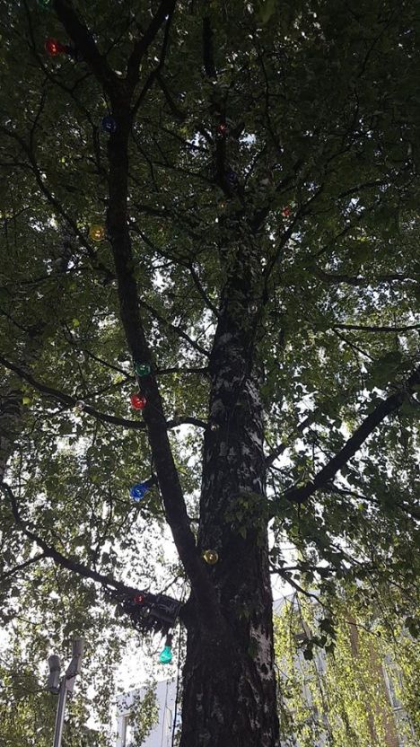 44295927_10161100169805596_8185836340483457024_n