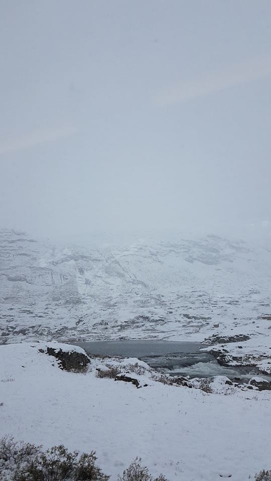 47575536_10161308263140596_4397109692837396480_n