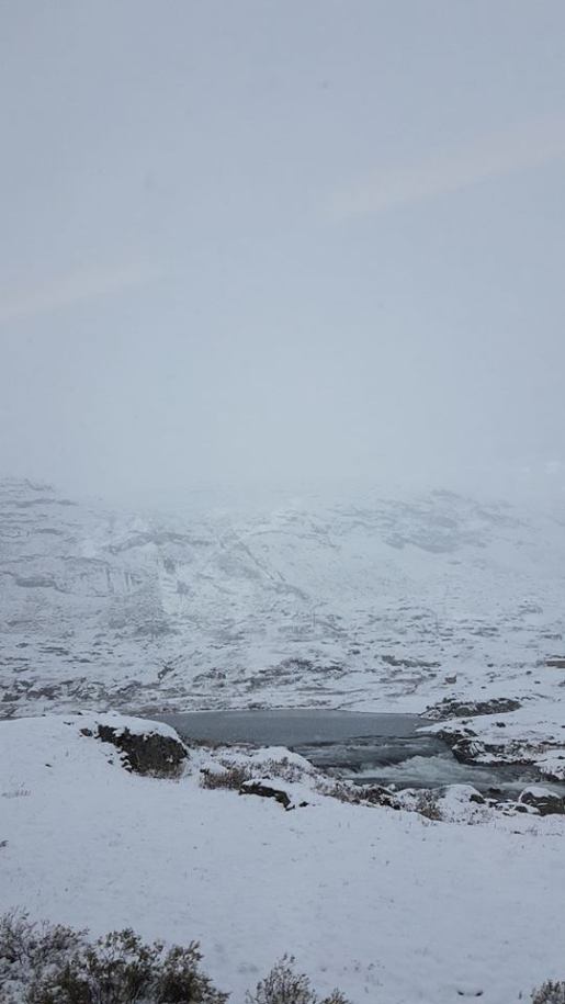 47575536_10161308263140596_4397109692837396480_n