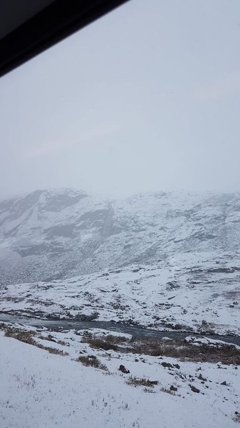 48360526_10161308277365596_654687487041470464_n