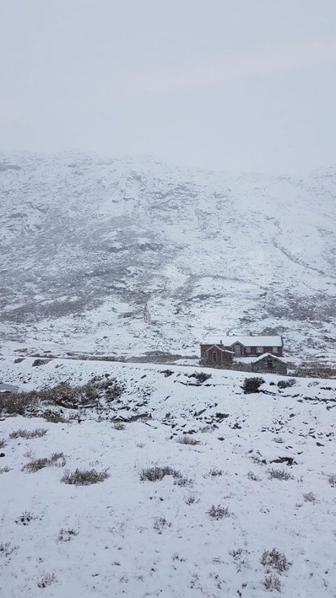 48363068_10161308321055596_3054093403861024768_n